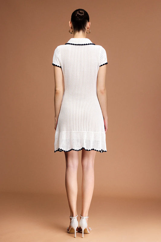 Fanni Classic Collared Mini Dress