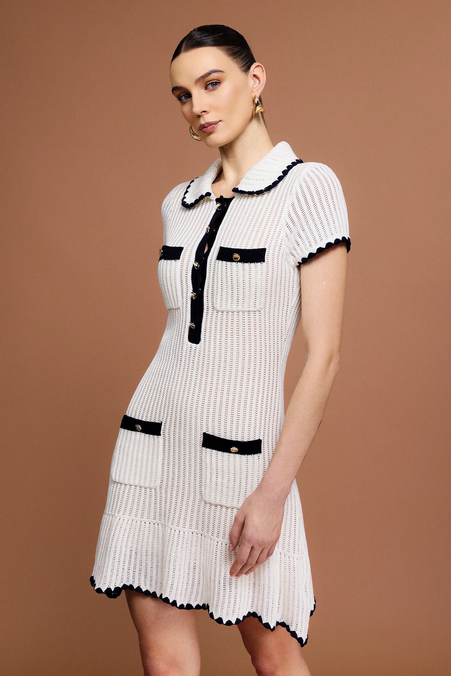 Fanni Classic Collared Mini Dress